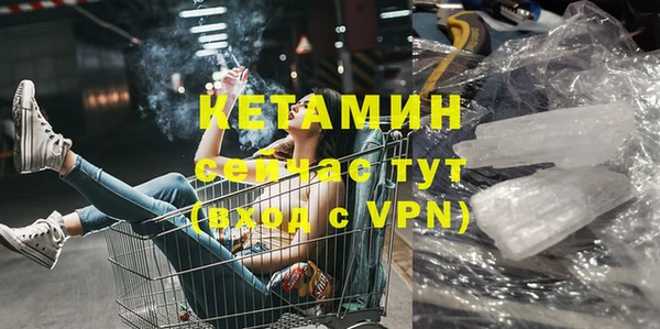 шишки Беломорск