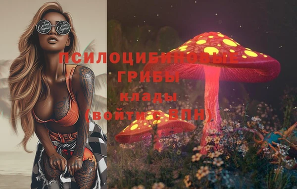 дживик Белокуриха