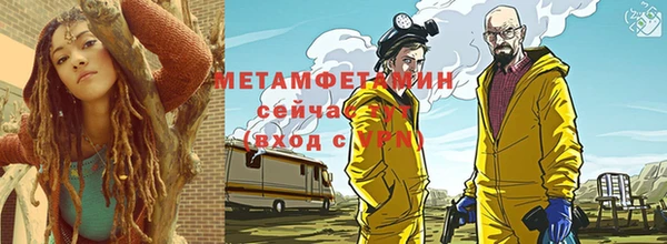 шишки Беломорск
