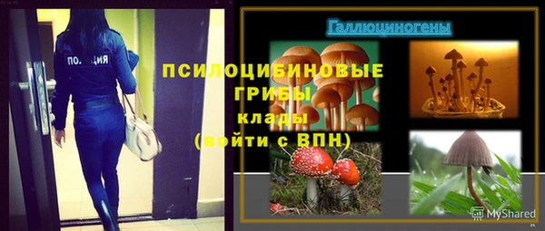 шишки Беломорск